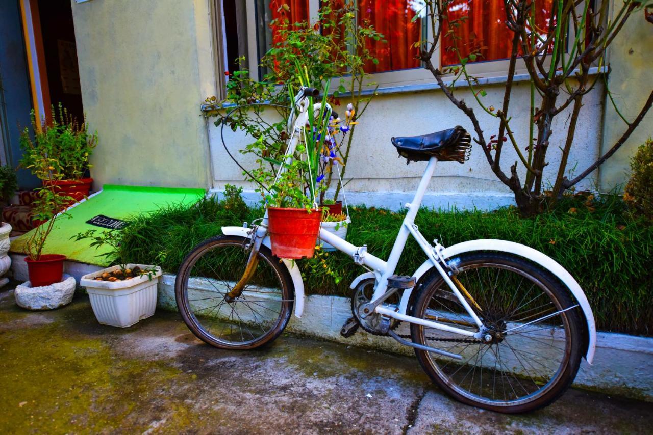 Lovely Apartment W/ Ac + Bath. + Kitchen + Parking And Garden Shkodër Eksteriør bilde